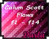 Flaws - Calum Scott