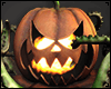 Tentacle Pumpkin Light
