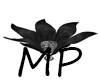 MP Black  Flower Chair