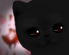 Kitty