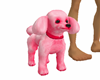 ! Em Pink Poodle
