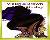 Ainsley Violet & Brown