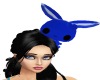 ~Blue Bunny~