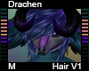 Drachen Hair M V1