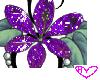 <H3 ~Glitter Flower~