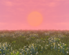3oy! Sakura Spring