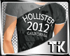 [TK] Gray Hollister