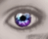 [L] Eyes Purple Blue