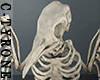 Raven - Skeleton