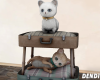 cat's corner