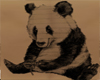 Panda Back Tattoo