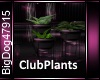 [BD]ClubPlants