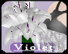 (V) Steampunk Lilies