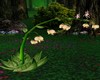 Fairy Flower Animated
