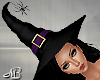-MB- Witch Hat Spider