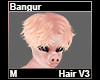 Bangur Hair M V3