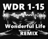 Wonderful Life REMIX