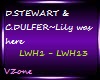 DAVE STEWART-Lily was