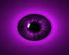 [klr] Purple Eyes v.2