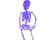 [JD]Party Flash Skeleton