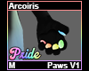 Arcoiris Paws M V1