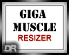 [DR] Giga Muscle Resizer