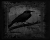 Crow Art 7