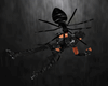 Black Spider Animated 