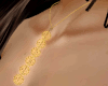 Shiny Gold Necklace Long