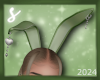 𝓼* bunny ears green