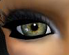 dark green seven eyes