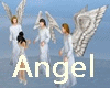 Angel friends
