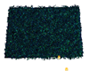Calm Teal Rug