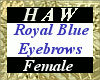 Royal Blue Eyebrows - F
