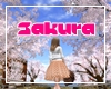 [R] Sakura Poster