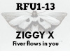 Ziggy River Flows in you