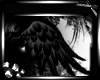 *GD* Black Wings