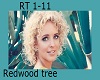Cam - Redwood tree