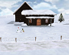 Ski home  animated