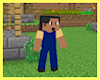 CC* Minecraft Avi 3