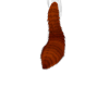 Bushy ginger tail