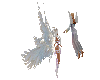 angel animacion