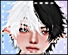 *Y* Xion Cruella