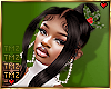 1 -Holly Christmas