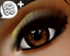 2OIL Eyes 3