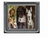 Desktop Photo My Dogs