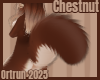 Chestnut Tail 1