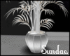 FASHION SHOW PLANT