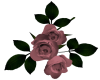 ROSE BMAID FLOWERS