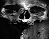 Skull Cutout